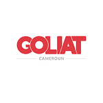 Company Goliat Cameroun - Agence Web