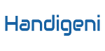 Company Handigeni Digital Innovations