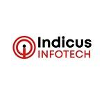 Company Indicus Infotech (OPC) Private Limited