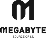 Company Megabyte