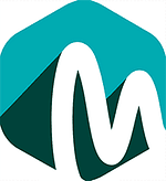 Company Mon Solution Sdn Bhd