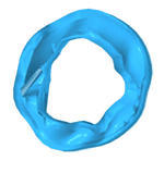 Company Occurrent Arts