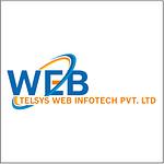 Company Telsys Web Infotech