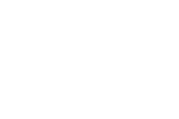 Portfolio Logo
