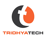Company Tridhya tech pvt ltd