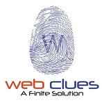 Company WebClues Infotech LLP