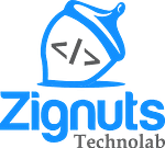 Company Zignuts Technolab